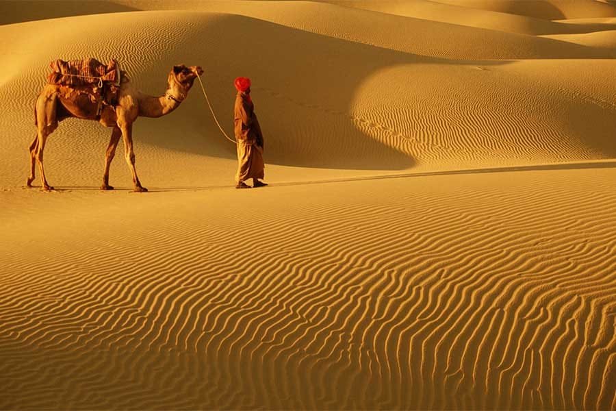 Best Camp in Jaisalmer Best Camp in Jaisalmer